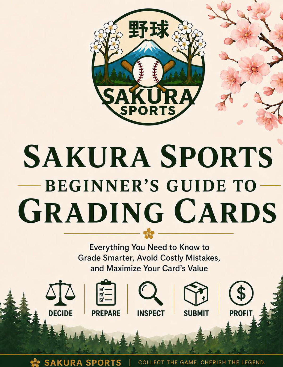 Sakura Sports Beginner’s Guide to Grading Cards